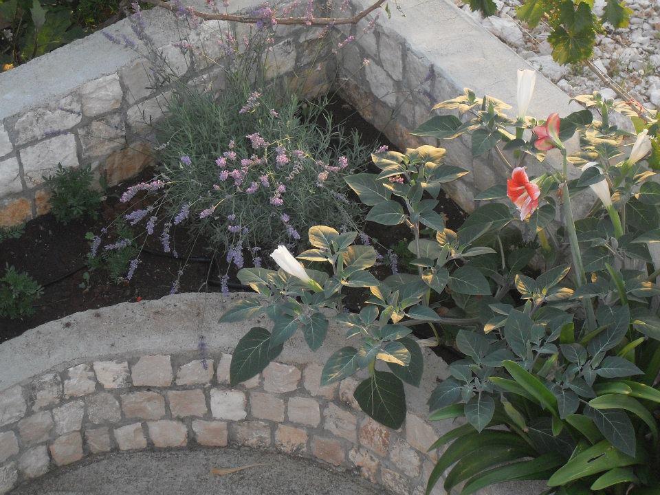 Apartments Leona Neum Exterior foto